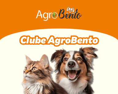 Imagem de representação do prêmio